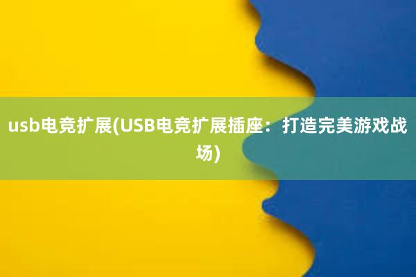 usb电竞扩展(USB电竞扩展插座：打造完美游戏战场)