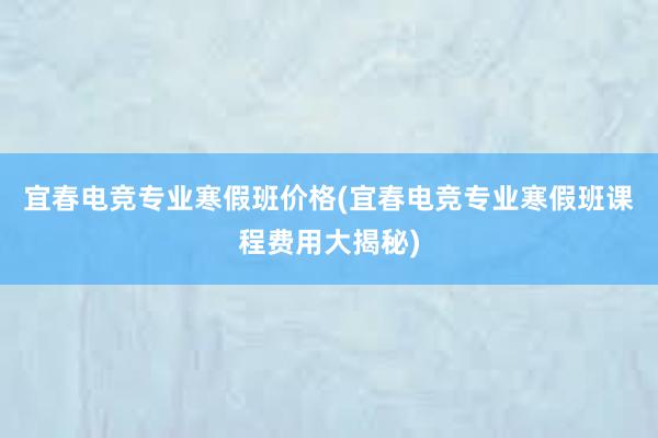 宜春电竞专业寒假班价格(宜春电竞专业寒假班课程费用大揭秘)