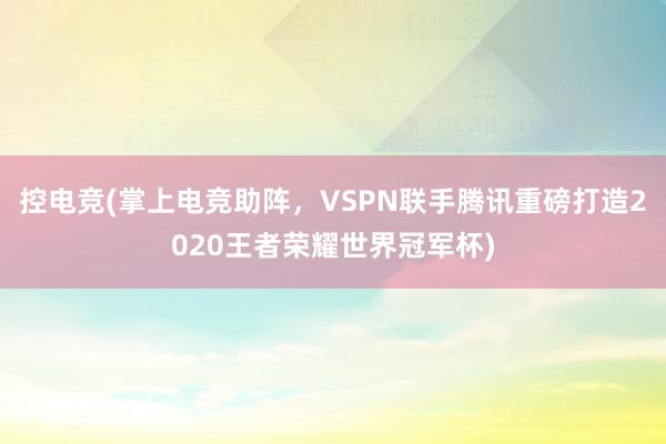 控电竞(掌上电竞助阵，VSPN联手腾讯重磅打造2020王者荣耀世界冠军杯)