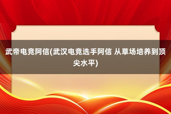 武帝电竞阿信(武汉电竞选手阿信 从草场培养到顶尖水平)