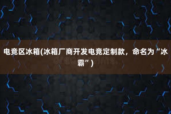 电竞区冰箱(冰箱厂商开发电竞定制款，命名为“冰霸”)