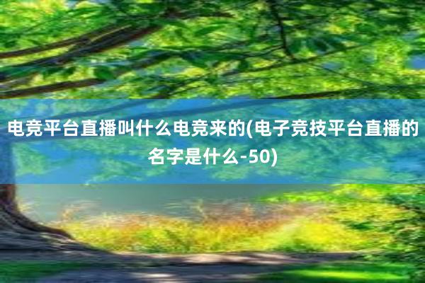 电竞平台直播叫什么电竞来的(电子竞技平台直播的名字是什么-50)