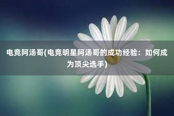 电竞阿汤哥(电竞明星阿汤哥的成功经验：如何成为顶尖选手)