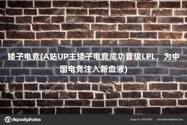 矮子电竞(A站UP主矮子电竞成功晋级LPL，为中国电竞注入新血液)