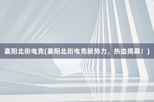 襄阳北街电竞(襄阳北街电竞新势力，热血揭幕！)