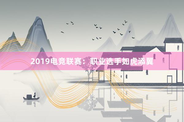 2019电竞联赛：职业选手如虎添翼