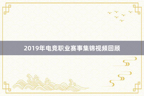 2019年电竞职业赛事集锦视频回顾