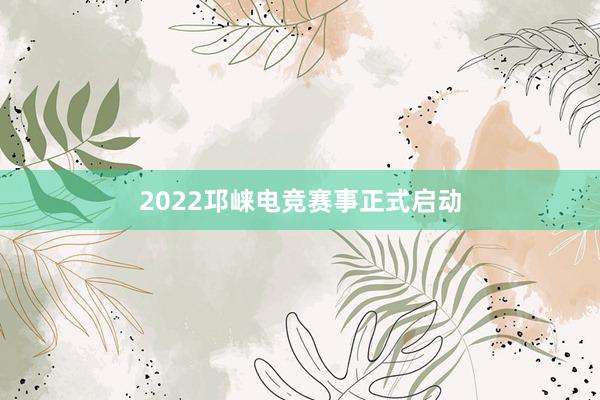 2022邛崃电竞赛事正式启动