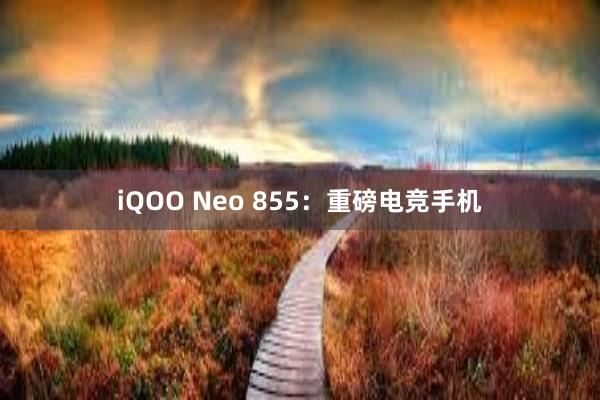 iQOO Neo 855：重磅电竞手机