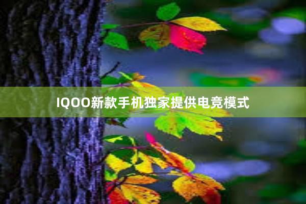 IQOO新款手机独家提供电竞模式