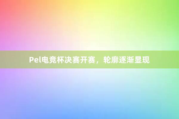 Pel电竞杯决赛开赛，轮廓逐渐显现