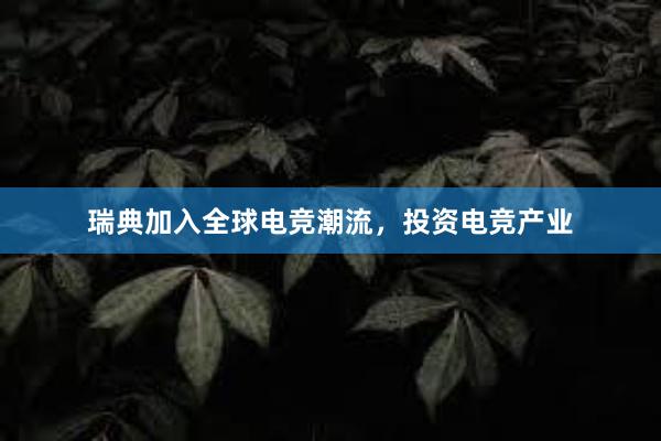 瑞典加入全球电竞潮流，投资电竞产业