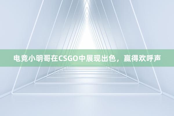 电竞小明哥在CSGO中展现出色，赢得欢呼声