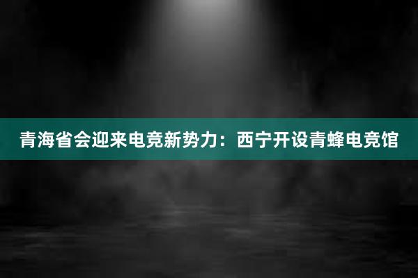 青海省会迎来电竞新势力：西宁开设青蜂电竞馆