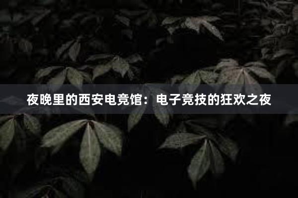 夜晚里的西安电竞馆：电子竞技的狂欢之夜