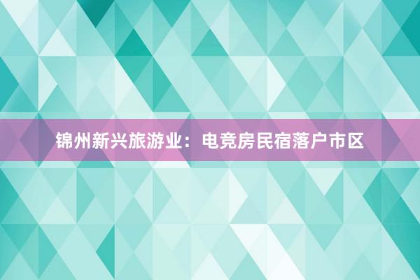 锦州新兴旅游业：电竞房民宿落户市区